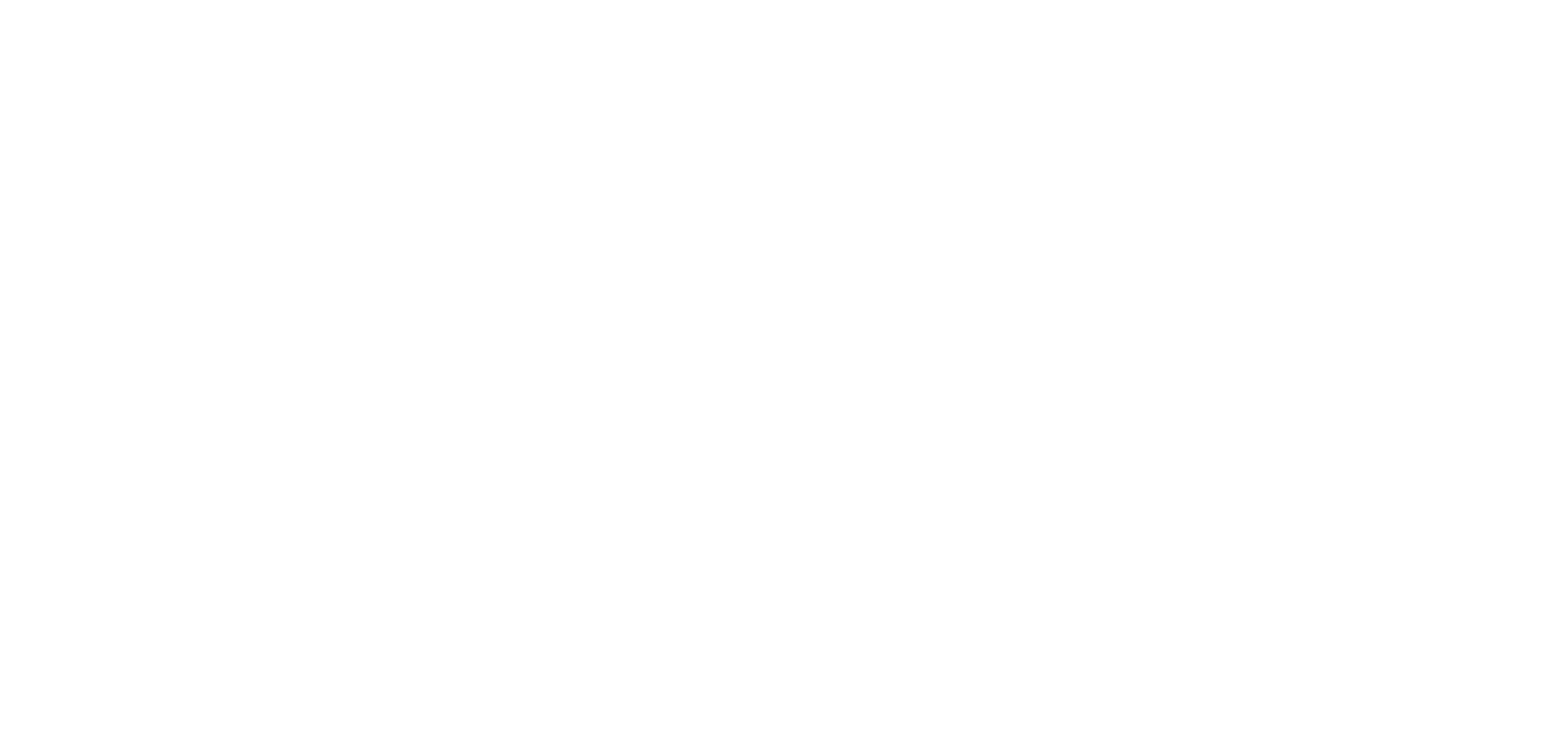 Fokker Services Group