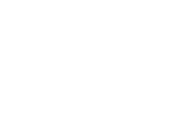 SystemX